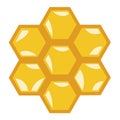 Honey comb flat design vector icon on white Royalty Free Stock Photo