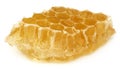 Honey Comb with honey