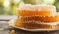 honey comb on plate Royalty Free Stock Photo