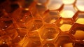 Honey comb section filled with golden honey macro background texture Royalty Free Stock Photo