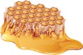 Honey comb Royalty Free Stock Photo