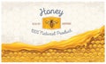 Honey combs with honey Royalty Free Stock Photo