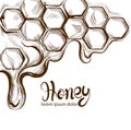 Honey combs Vector line art. Retro vintage old effect styles