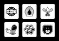 Honey concept icons set