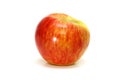 Honey Crisp Apple