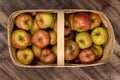 Honey Crisp Apples in a Basket Royalty Free Stock Photo