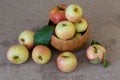 Honey crisp apples on brown tablecloth Royalty Free Stock Photo