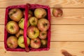 Honey Crisp Apples in a Red Wicker Basket Royalty Free Stock Photo