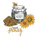 Honey. Design elements set. Detailed engraved. Vintage hand drawn vector illustration realistic sketch