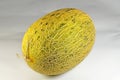 Honey dew melon skin texture Royalty Free Stock Photo