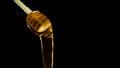 A honey dipper and dripping honey Royalty Free Stock Photo