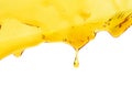 Honey Dipper Dripping Honey. Royalty Free Stock Photo