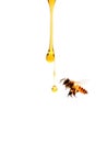 Honey Dipper Dripping Honey. Royalty Free Stock Photo