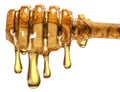 Honey dipper (stick) with large drops of honey on a white background.