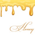 Honey drip syrup. Bee liquid drop, isolated white background. Gold oil food molten design. Golden splash caramel pure
