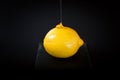 Honey dripped lemon on a black background Royalty Free Stock Photo