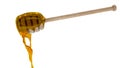 Honey dripper isolated 3D render