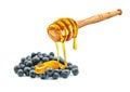 blueberries with honey Royalty Free Stock Photo