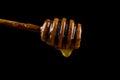 Honey dripping from dipper isolated on black background Royalty Free Stock Photo