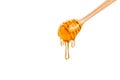 Honey dripping down from a wooden honey dipper, on white background with copy space Royalty Free Stock Photo