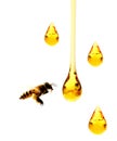 Honey dripping on girl lips from the wooden spoon. Royalty Free Stock Photo