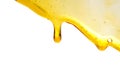 Honey Dipper Dripping Honey. Royalty Free Stock Photo