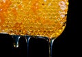 Honey dripping from a honey comb.JH Royalty Free Stock Photo