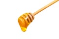 Honey dripping from honey dipper isolated on white background. Royalty Free Stock Photo