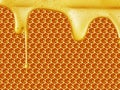 Honey dripping on honeycomb background Royalty Free Stock Photo