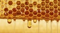 Honey dripping from a honeycomb Royalty Free Stock Photo