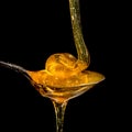 Honey dripping isolated on black background Royalty Free Stock Photo