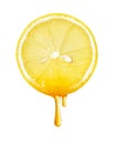 Honey dripping from lemon slice isolated Royalty Free Stock Photo