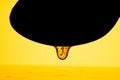 Honey dripping, pouring from dark spoon on yellow background. Thick viscous honey molasses flowing. Close up of golden Royalty Free Stock Photo