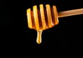 Honey dripping, pouring from a honey dipper on a black isolated background. Healthy organic thick honey dipping from a Royalty Free Stock Photo