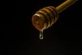 Honey dripping to a honey dipper isolated on a black background. Concept healthy food. Royalty Free Stock Photo