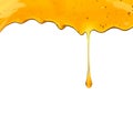 Honey dripping on white isolated