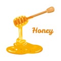 Honey dripping from wooden dipper Isolated on white background. Vector detailed illustration Royalty Free Stock Photo