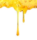 Honey dripping from wooden honey dipper Royalty Free Stock Photo