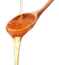 Honey dripping from a wooden honey dipper isolated on white back Royalty Free Stock Photo