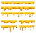 Honey dripping. Yellow syrup liquid golden oil drops and splashes vector realistic template