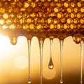 Honey drips from a honeycomb with a hexagonal pattern, highlighte Royalty Free Stock Photo