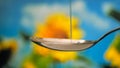 Honey drips, pours into a spoon. Thick viscous honey molasses flows. Close-up of golden honey liquid, sweet product of