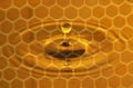 Honey Drop Royalty Free Stock Photo