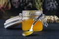 Honey for ethnoscience medicine with herbs