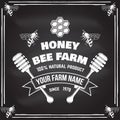 Honey farm badge. Vector. Concept for shirt, print, stamp or tee. Vintage typography design with bee, honeycomb piece