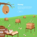 Honey farming poster. Cartoon honeycomb, bee, pod, flowers, pancake, honey jar vector illustration. Brochure, poster