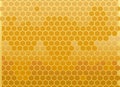 Honey-filled bee honeycombs. Vector background. Bees collected honey from different colors, many shades in cells. Some containers