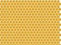 Honey-filled bee honeycombs. Vector background. Bees collected honey from different colors, many shades in cells. Some containers