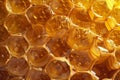 Honey filled with honeycomb, macro view.