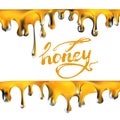 honey flowing flowing, in motion, honey trickling down, isolated vector